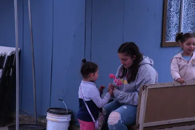 DSC_1271 (Large).JPG